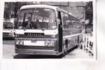 DAVIES BROS., CARMARTHEN - LEYLAND / PLAXTON - VTH888L - PHOTO #B25070