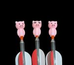Scalded Cat Archery Pigs X 3 Spare Arrow Toppers Target Field Gift Free p&p