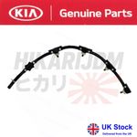 Hyundai Santa Fe Tuscon Kia Sportage, Sorento diesel spill drain Pipe Genuine UK