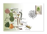 First day cover (FDC) of ESTONIA 2026 - Estonian forest trees – Populus tremula