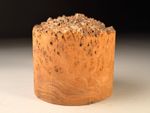Live Edge Burr Elm Resin Woodturning Bowl Blanks 5x4.5 inch .9 KG