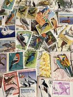 BIRDS 100 Postage Stamps Used Off Paper For Collecting And Craft Projects.
