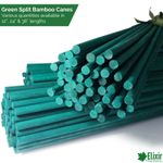 Green Flower Stick | Bamboo Split Cane Plant Support | 12", 24" & 36" Sizes