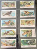 Ogdens, British Birds, Full Set of 50, Cards in Sleeves, issued 1905
