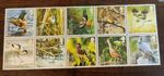 GB Birds 'Action for Species' SG2764-2773 10x 1st Class Stamp 2007 