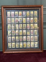 Cigarette Cards Collectibles Wild Flowers Original Set Of 48 Gallaher1939