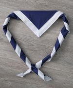UK Scout Youth Necker Scarf Blue White