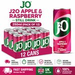 J2O Apple & Raspberry Juice Drink 12x250ml Cans Fruity Soft Drink Multipack UK