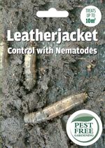 PFG Natural Safe Leatherjacket Grub Nematodes Killer | Treat Daddylong Legs