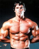 Arnold Schwarzenegger [1045949] 8x10 photo (other sizes available)