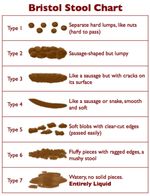 Bristol Stool Chart fridge magnet for NURSES & DOCTORS NHS
