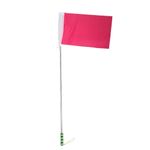 Bright Pink Reusable Tour Guide Flag with Telescoping Pole for Field Activities