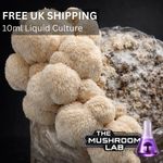 Lions Mane Liquid Culture - mushroom mycelium culture - 10ml Hericium erinaceus