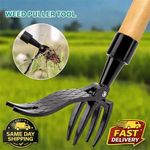 Manual Stand Up Weeder Puller Weed Claw Grass Root Remover Killer Garden Tool