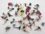 Fly Fishing Flies DRY BOX Selection of more than 50 flies for Trout # 322