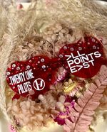 TWENTY ONE PILOTS ALL POINT EAST FESTIVAL CONCERT FREE GLASSES POUCH EVENT