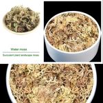 6L/12L Dried Sphagnum Moss Organic Fertilizer Phalaenopsis Moisturizing Garden