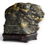 Suiseki Flower Landscape Stone Japanese Viewing Garden Zen Daiza 5.5 inch 1.3 kg