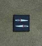 ASOB Special Operations Brigade Badge Army Military Hook Sew Option Combat MTP