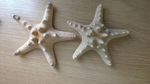 SET OF 2 Real Knobbly Starfish Large Dried 10cm - 12cm