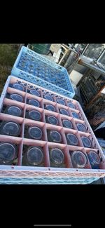 Cambro Dishwasher Glasses Storage Rack Comes With 25 Wine Glasses Pub Grade