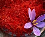 PURE AFGHAN SAFFRON Finest Handpicked Premium Grade A Super Negin
