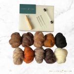 Corriedale Sliver Animal Shades Needle Felting Wool Starter Kit 150g