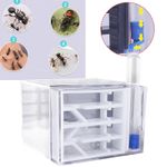 ANT Farm Transparent Funny Toys ANT Habitat for Tabletop Children's Day Gift