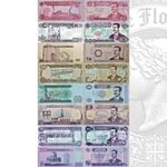 Iraq 5 to 250 Dinars 8 Note Set Saddam Era ND 1992-2001 AU-UNC P80-P88 Ungraded
