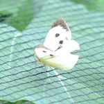 Butterfly Netting Stop Cabbage White Butterfly Garden Netting Choose size Black