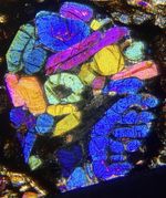 Meteorite NWA 12464 rare LL3.15 type Chondrite Thin Section Microscope slide