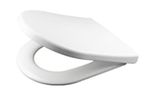 Swirl Soft-Close with Quick-Release D-Shaped Toilet Seat Stainless Steel & Plast