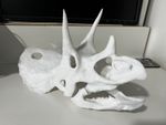 Huge 3D-printed Anatomically Correct replica of a Real Triceratops skull 33cm
