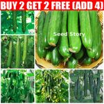 Vegetable Cucumber Seeds - Multi-Variety - 50/240 Seeds - Delicious Vegetables