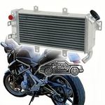 2 Row Aluminium Radiator For Kawasaki ER-6N ER-6F 650A 650B 39061-0066 06-08 06