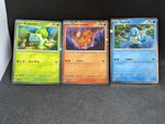 Pokemon Scarlet & Violet 151: Poster Collection Black Star Promo Starters Set