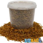 BusyBeaks Dried Mealworms - High Quality Wild Bird Food Treats For Garden Birds