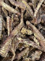 Best British Beef Trachea 2kg - MOO TUBES WINDIES Wholesale Huge Margin!!RRP £50