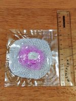 2 x Geiger Check Source , Specially Coated Tilly/Pressure Lantern Mantle (New)