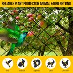 Garden Netting Heavy Duty 20mm Mesh Knotted Anit Bird Pond Fruit Cage Net