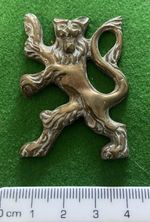 Vintage Lion Rampant  Brass Badge/Mount.