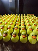 Mini Ducks Miniature Plastic Ducks Yellow Duckies Tiny