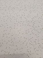 Suspended Ceiling Tiles ND - Fissured 595mm x 595mm Pack of 10