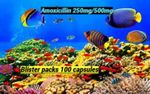FISH MOXIL For Aquarium Treatment (250/500mg) Fish Moxil 100Pcs READ DESCRIPTION