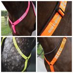Shires Equi-Flector Breastplate - Orange, Yellow or Pink