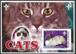 Somalia, 2003, Cats, MNH Imperf M/S Sheet #M2012