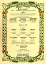 Limerick All-Ireland Senior Hurling Champions 1973: GAA Print