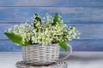 Tea Cup Shaped Wicker Gift Hampers Flower Pot Home Decoration Christmas Gift