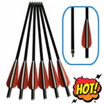 12X16" Fiberglass Crossbow Bolts Hunting Shooting Practice 100gr Screw Points