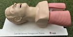 Laerdal Airway Management Trainer Manikin